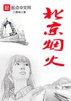 beijing fireworks