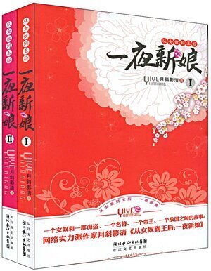 One Night Bride